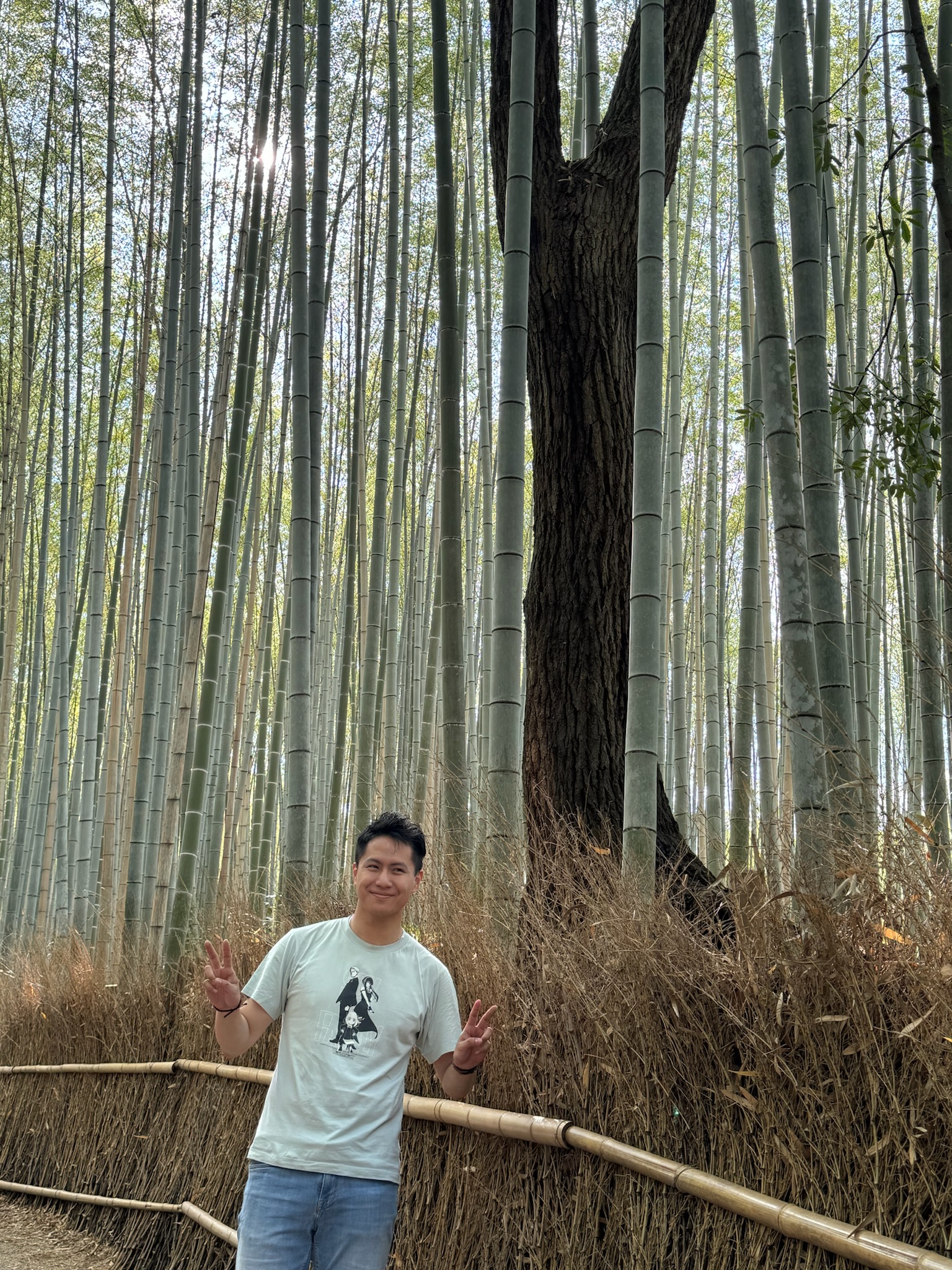Arashiyama Kyoto : foret de bambou