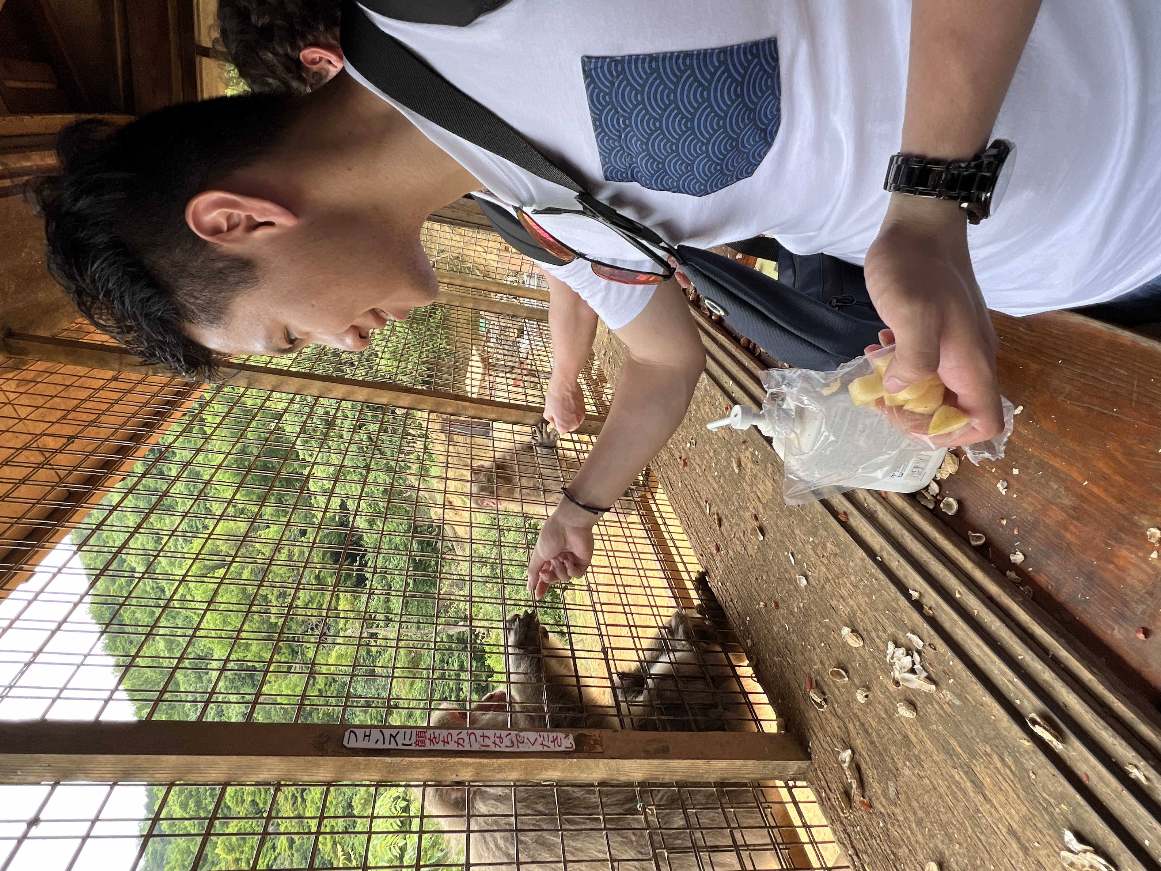 Iwatayama Monkey Park Kyoto : je nourrie un singe