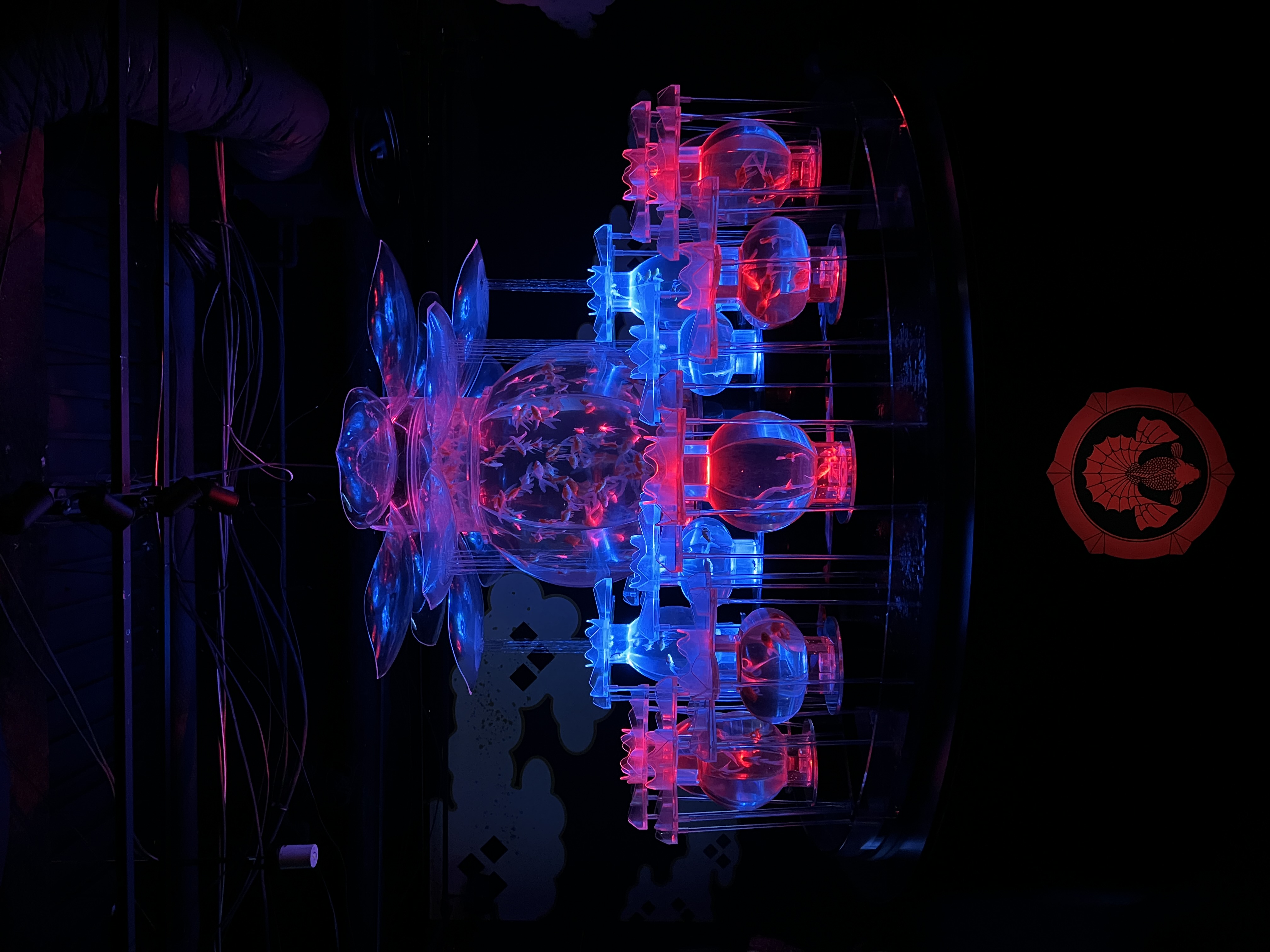 Art Aquarium Museum : exposition